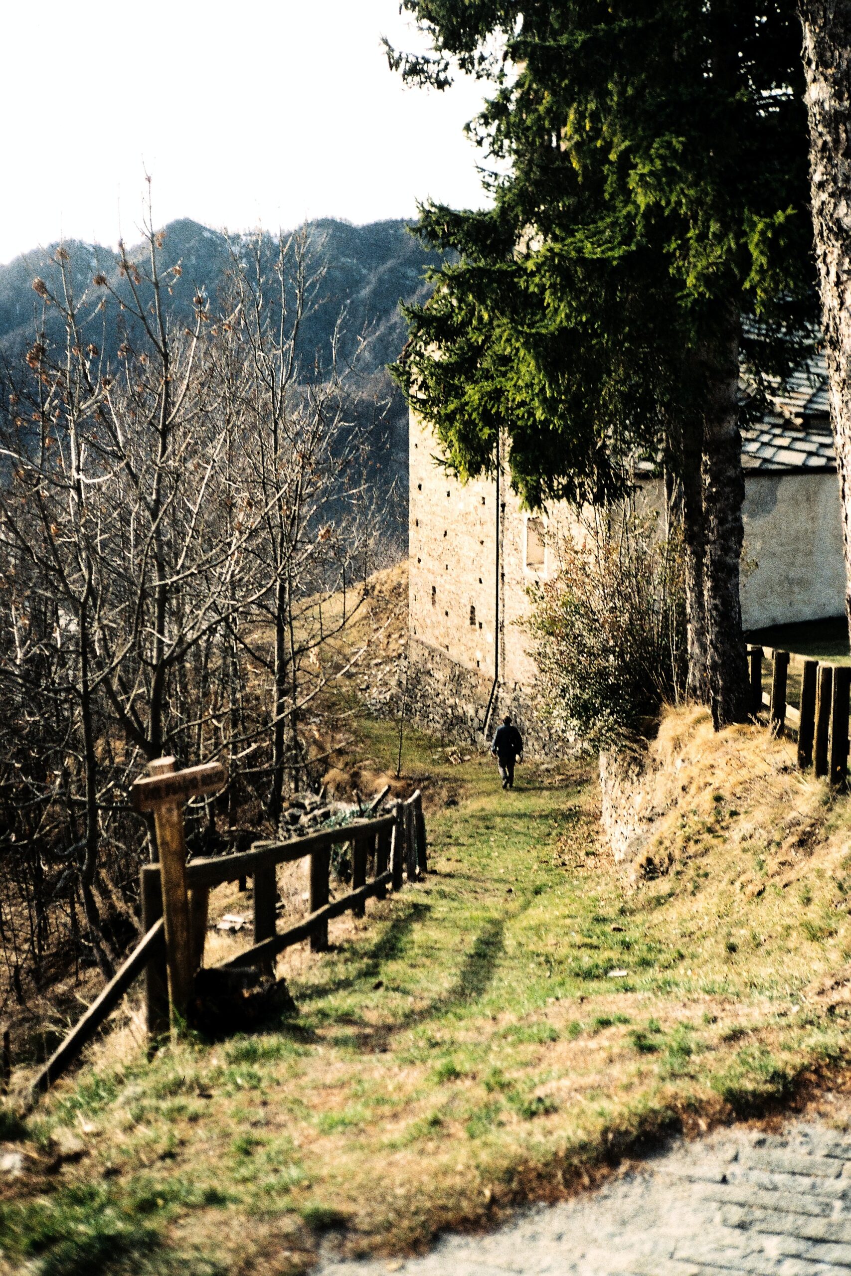 gianluigi-calcaterra-RlwSLrGHaJE-unsplash